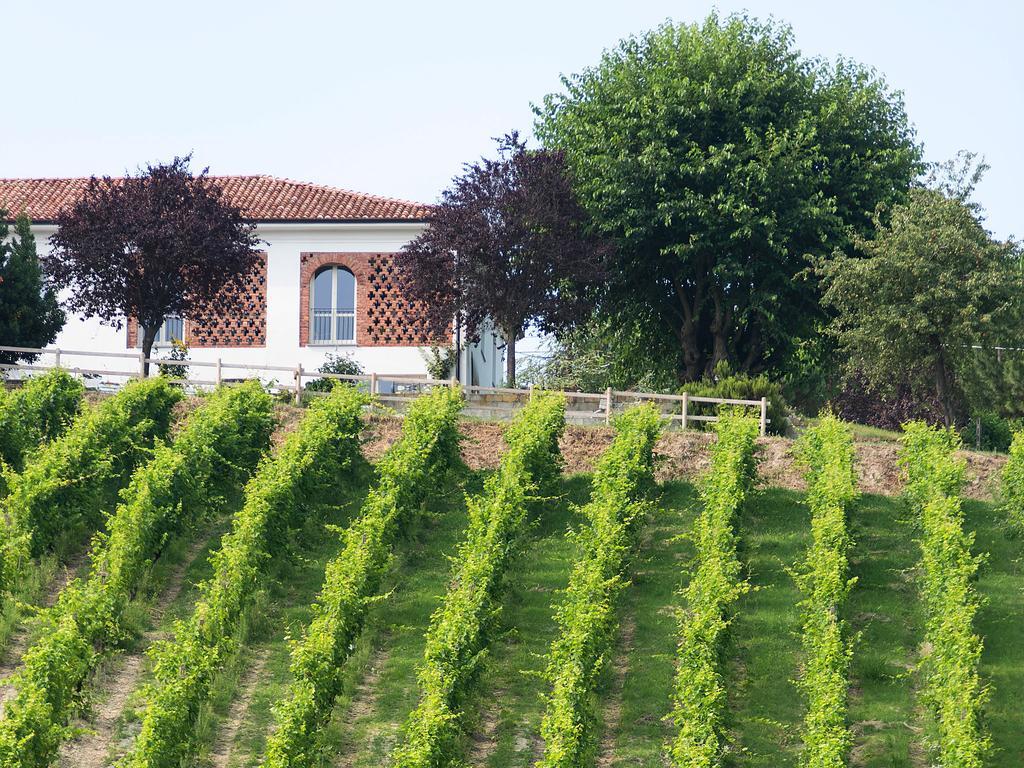 Agriturismo Albarossa Nizza Monferrato Dış mekan fotoğraf