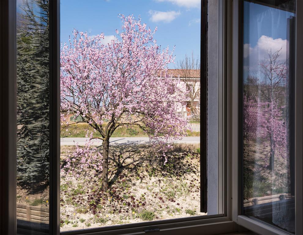 Agriturismo Albarossa Nizza Monferrato Dış mekan fotoğraf