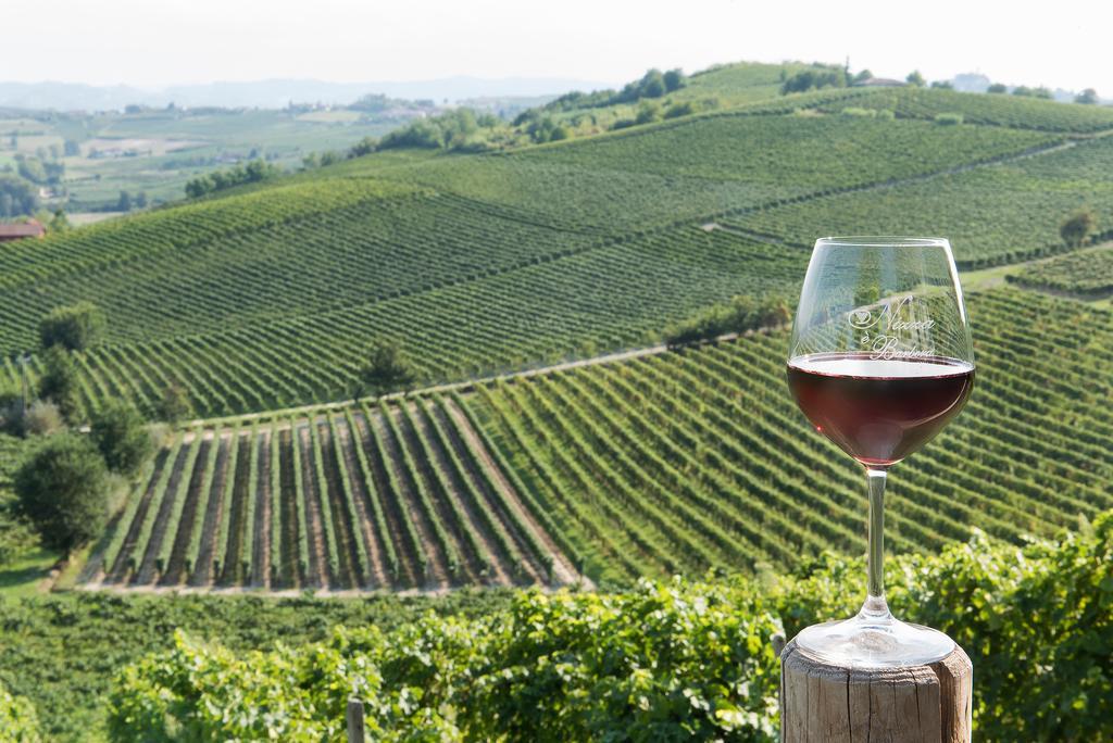 Agriturismo Albarossa Nizza Monferrato Dış mekan fotoğraf