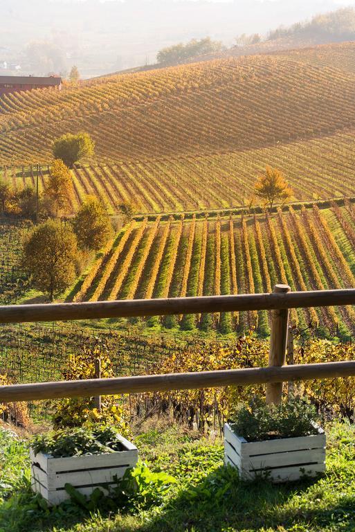 Agriturismo Albarossa Nizza Monferrato Dış mekan fotoğraf