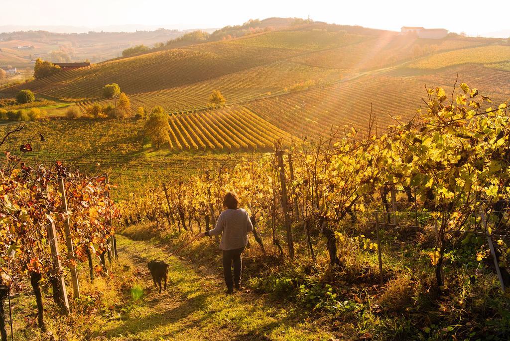 Agriturismo Albarossa Nizza Monferrato Dış mekan fotoğraf