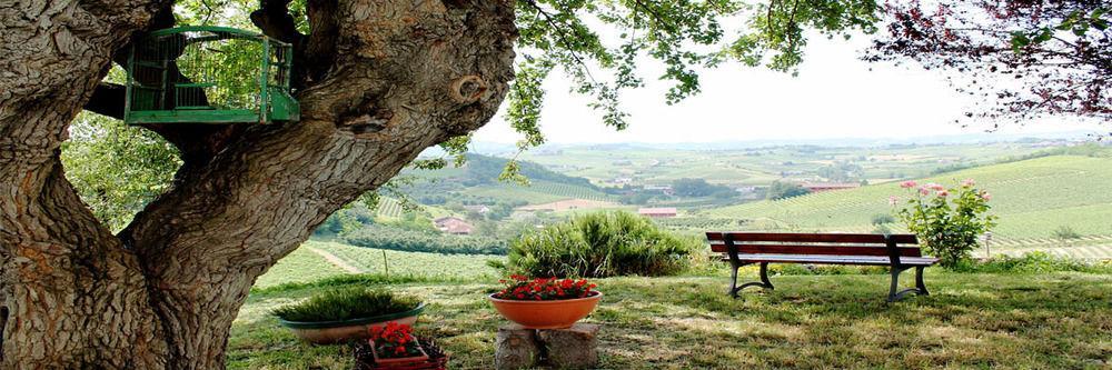 Agriturismo Albarossa Nizza Monferrato Dış mekan fotoğraf