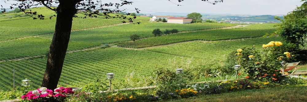 Agriturismo Albarossa Nizza Monferrato Dış mekan fotoğraf