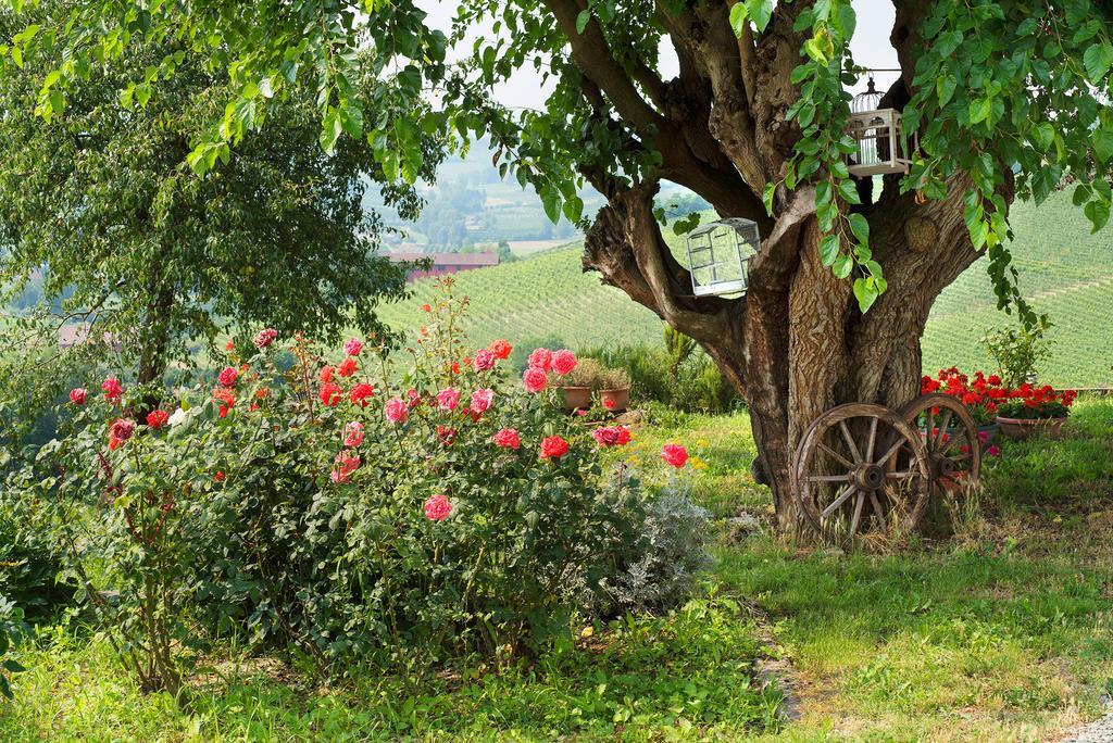 Agriturismo Albarossa Nizza Monferrato Dış mekan fotoğraf