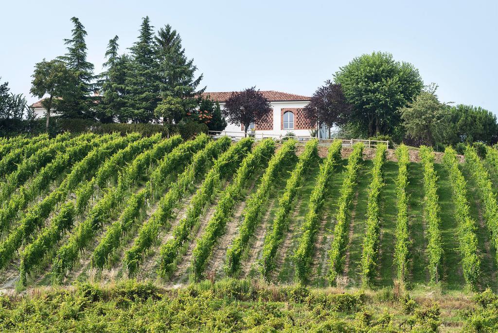Agriturismo Albarossa Nizza Monferrato Dış mekan fotoğraf